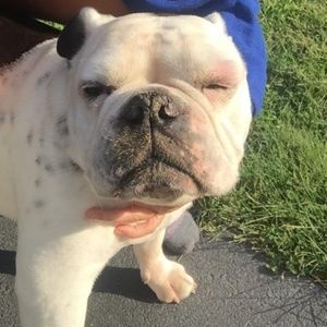 Meet your Posher, Maryelena